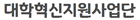 대학혁신지원사업단